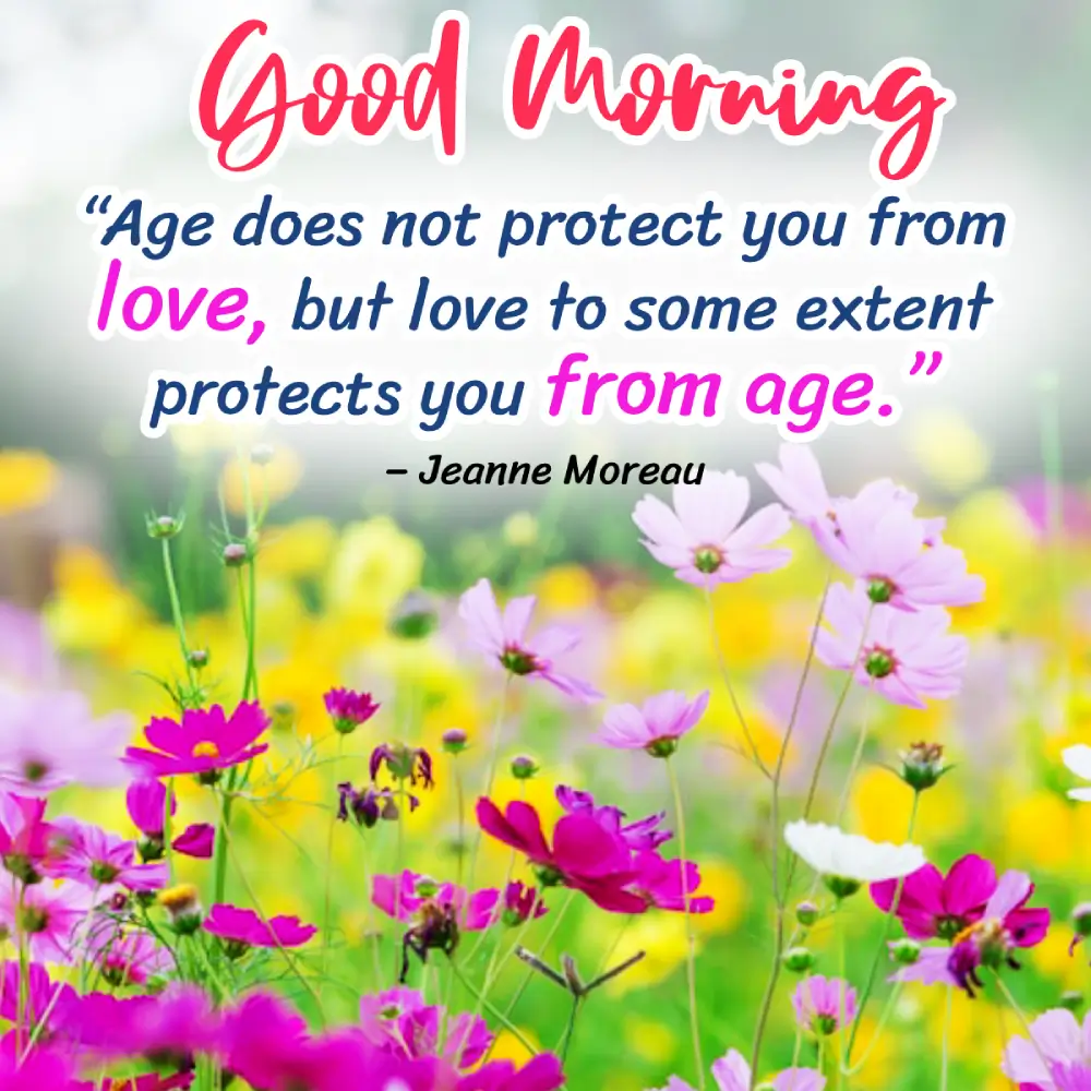 Good Morning New Photo