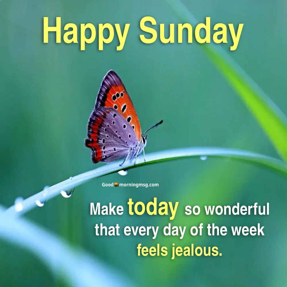 Good Morning Quotes Motivational I Goodmorningmsg