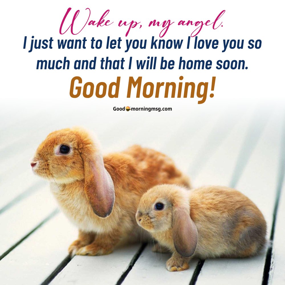 Good Morning Quotes