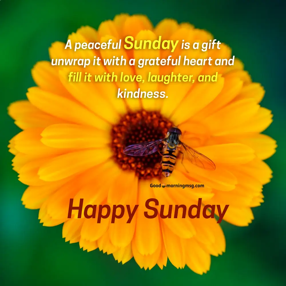 Good Morning Sunday Images I Goodmorningmsg