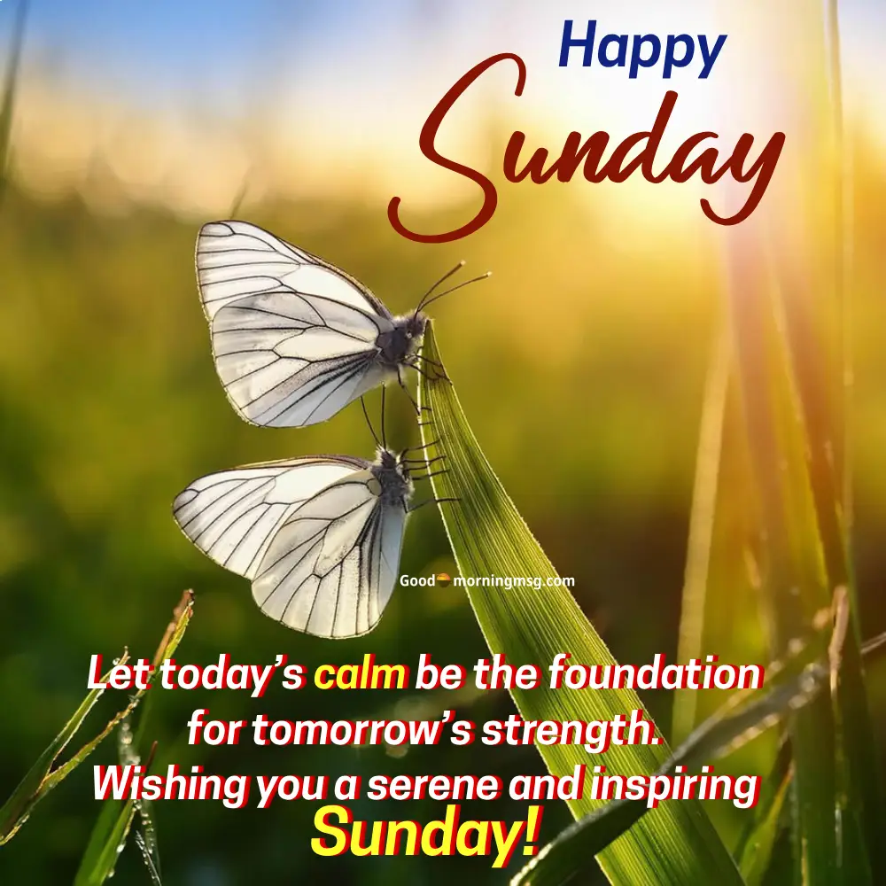 Good Morning Wednesday Blessings I Goodmorningmsg