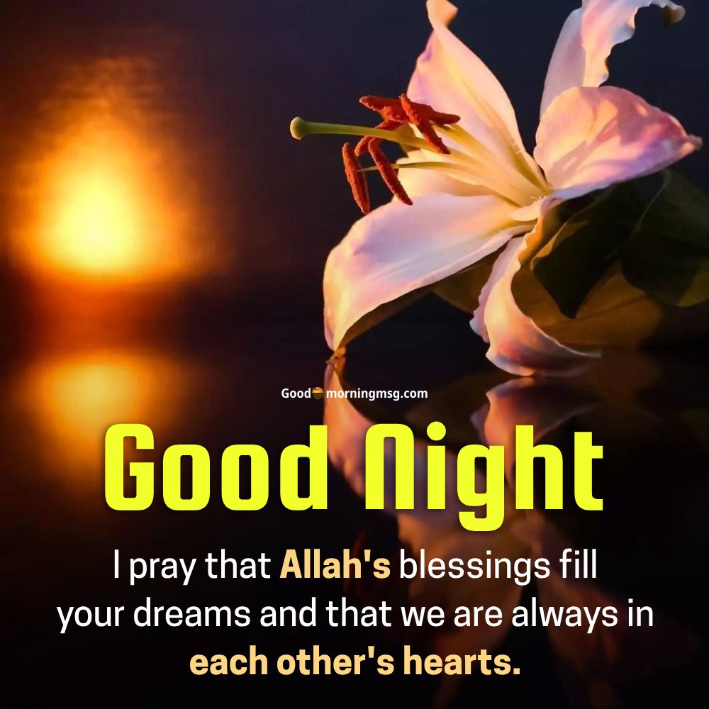 Good Night My Sister I Love You