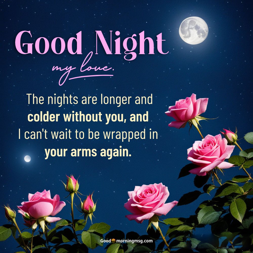 Good Night Sister Gif
