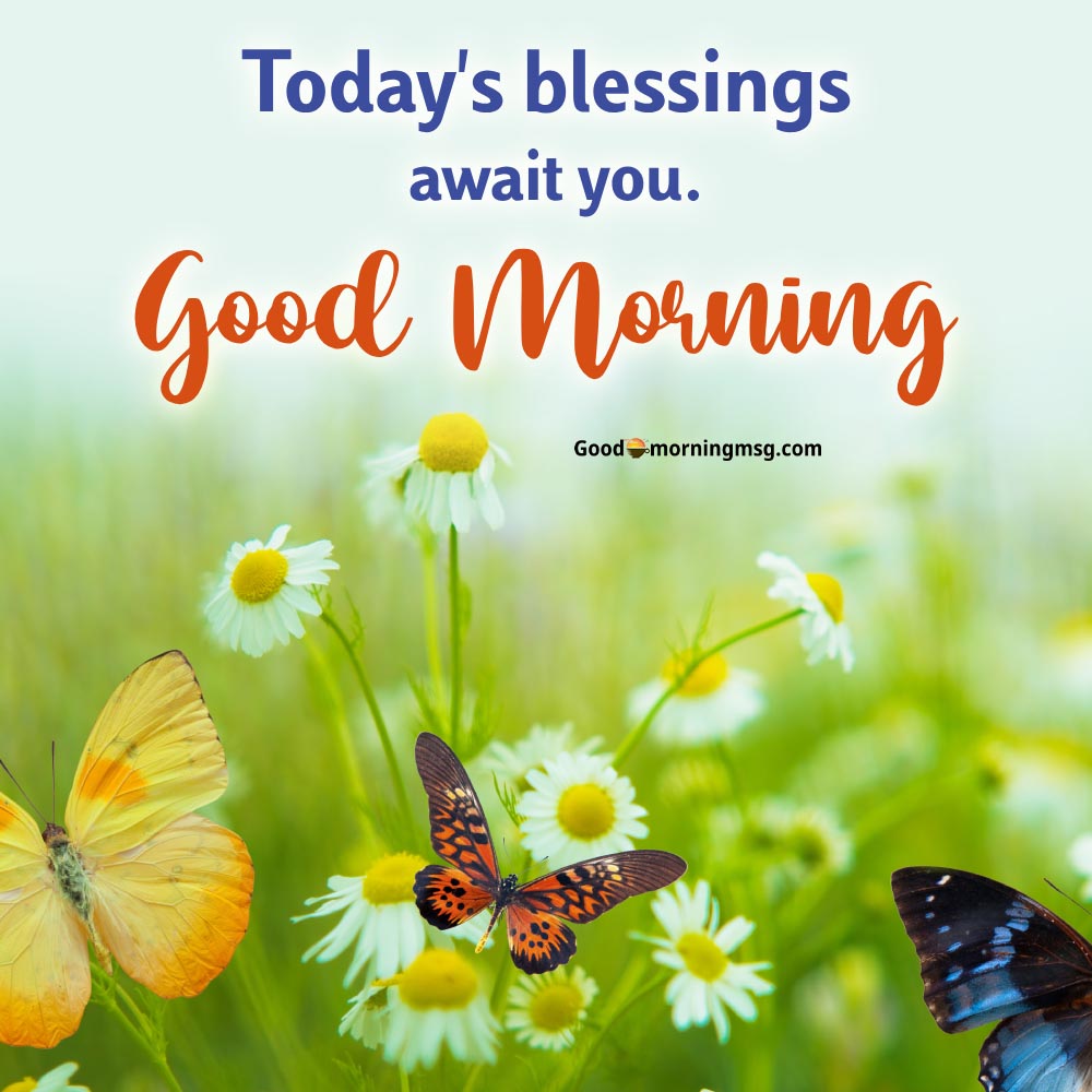 Images Of Good Morning Thursday Blessings I Goodmorningmsg