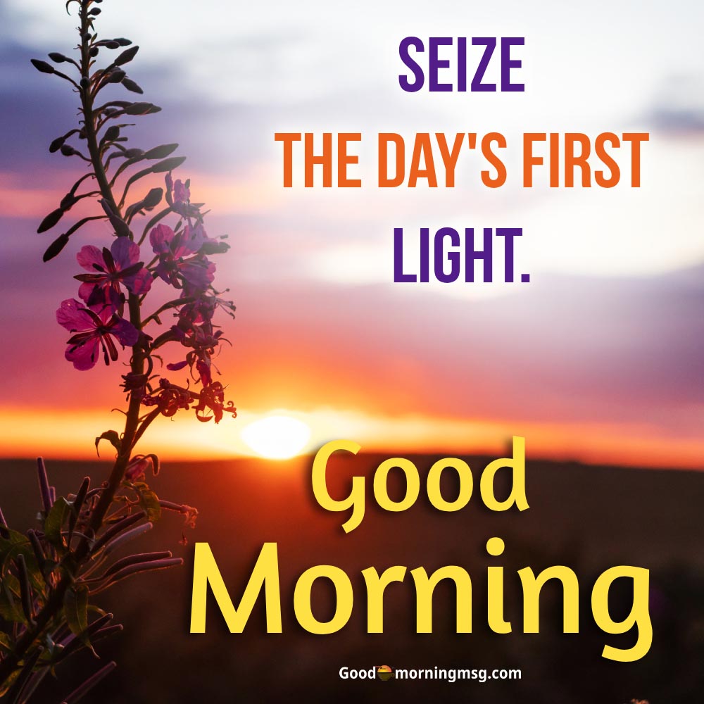Inspirational Wednesday Morning Blessings I Goodmorningmsg