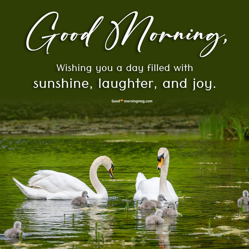 Jai Shree Krishna Good Morning