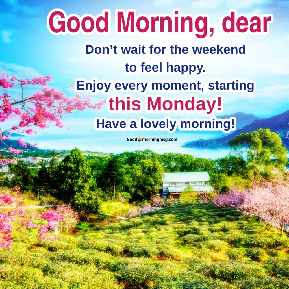 Monday Quotes Funny I Goodmorningmsg