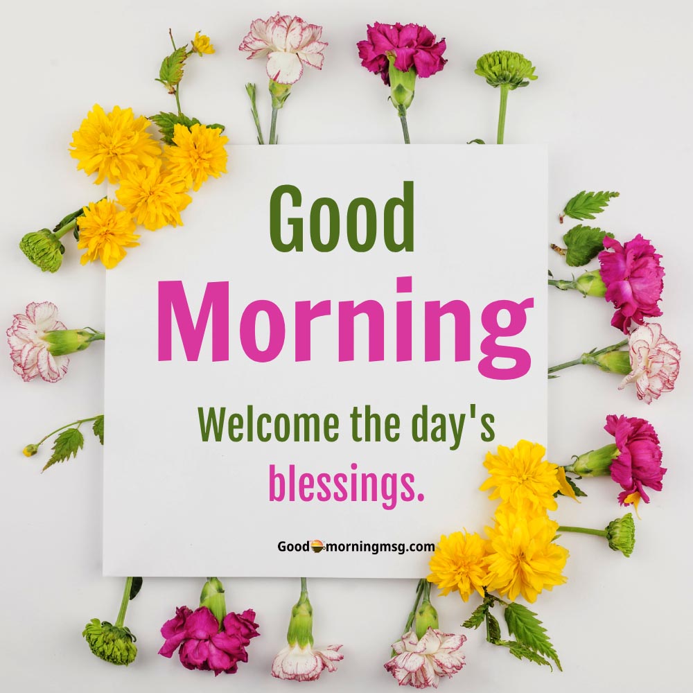 Morning Have A Blessed Day I Goodmorningmsg