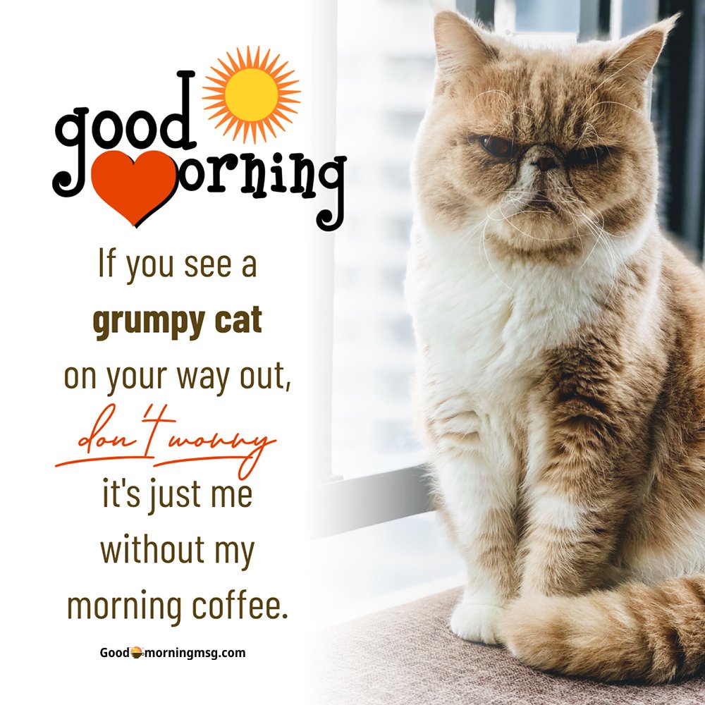 Shiva Good Morning