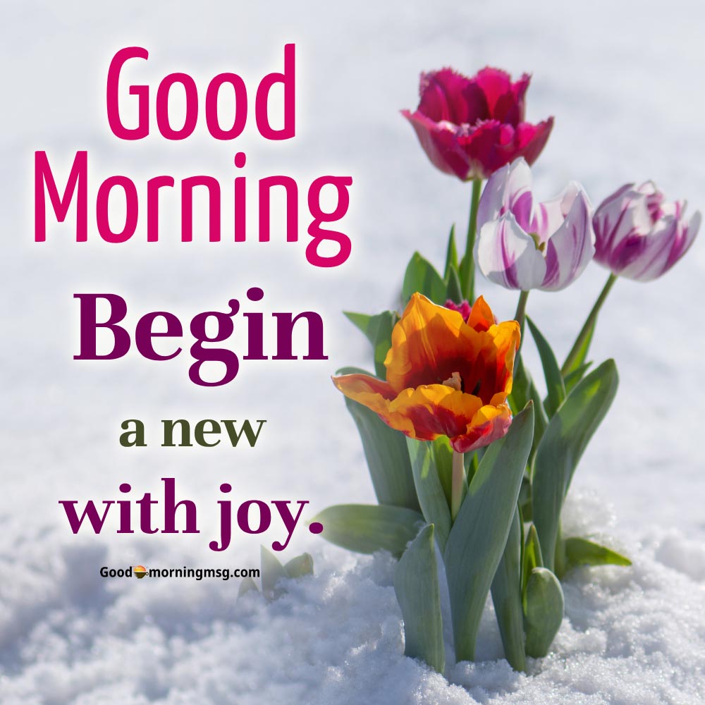 Thursday Morning Wishes And Blessings I Goodmorningmsg