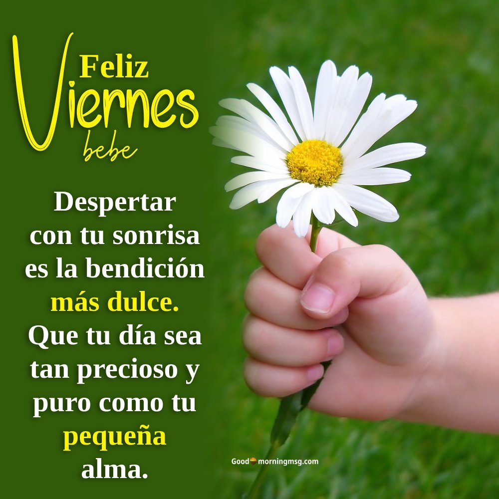 Lindas Bendiciones De Feliz Viernes I Goodmorningmsg