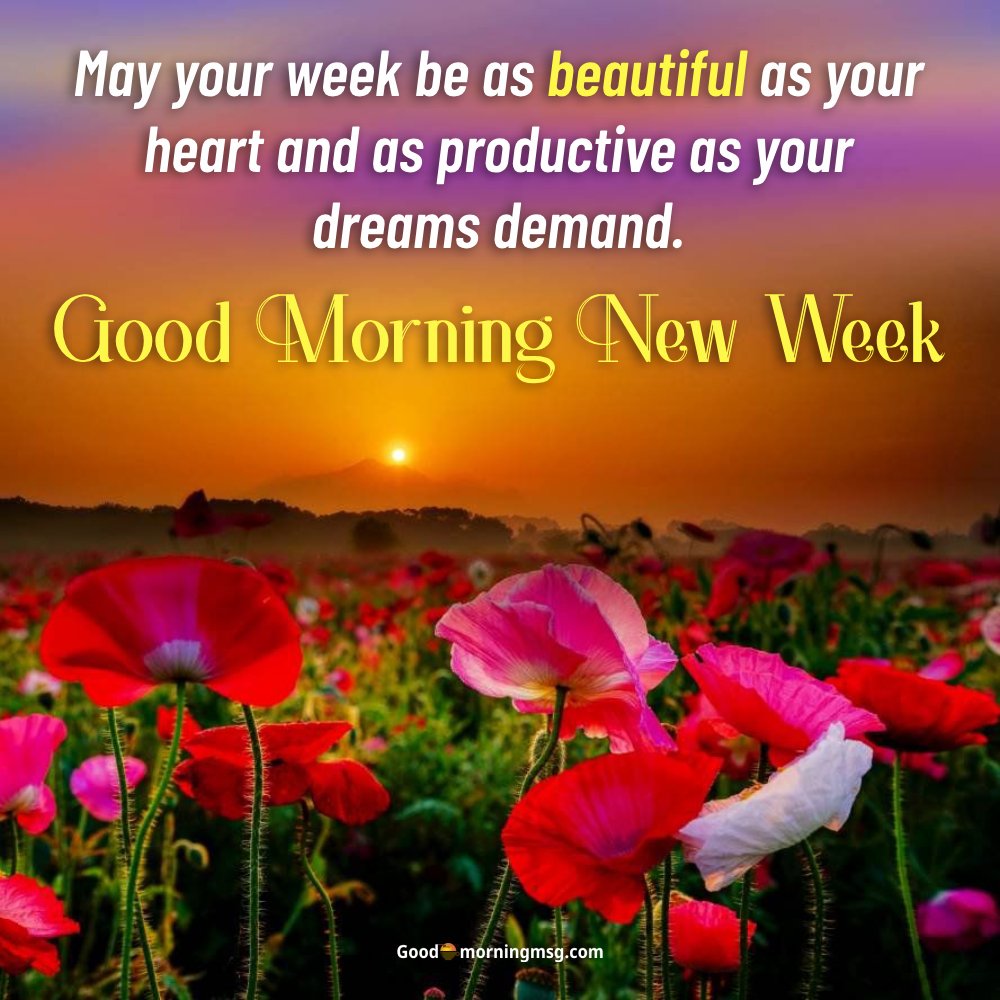 20+ Free Good Morning New Week Images Blessings And Status