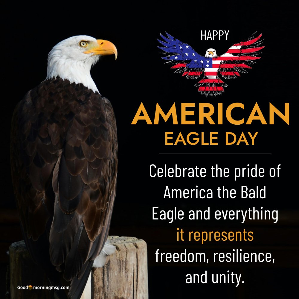4th Of July American Eagle I Goodmorningmsg