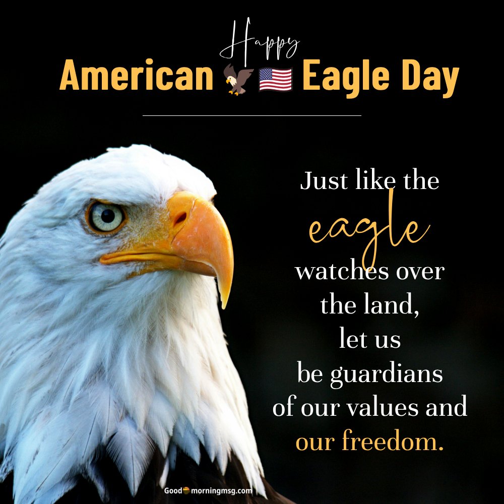 American Eagle 4th Of July I Goodmorningmsg