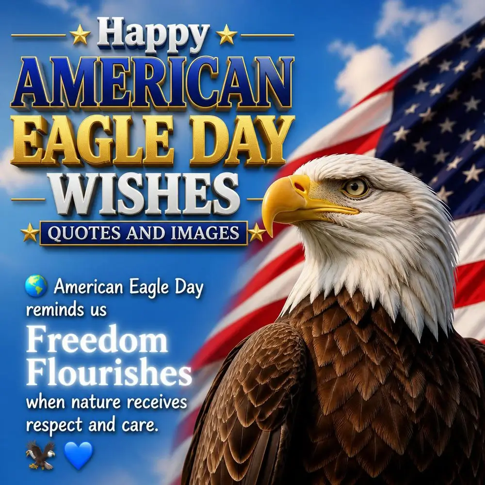 American Eagle Quotes