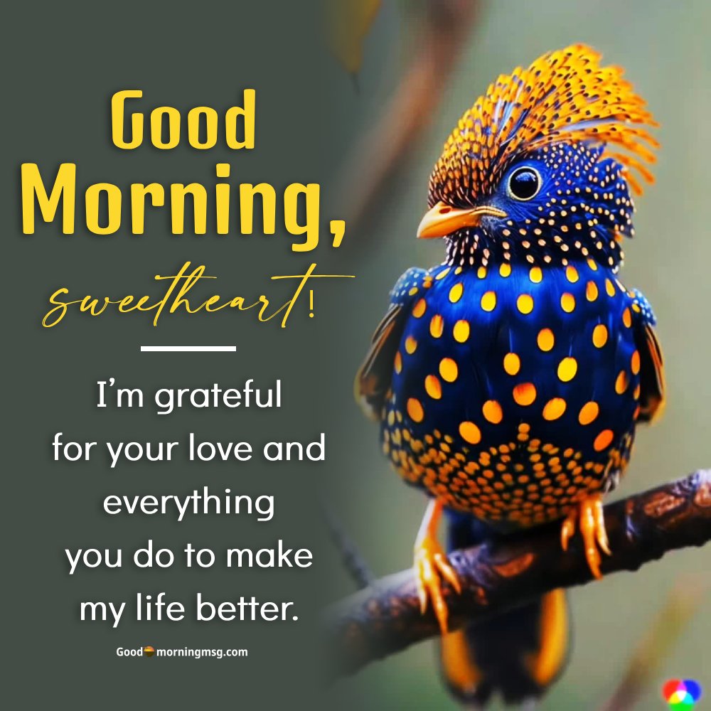 Beautiful Birds Wallpaper Hd I Goodmorningmsg