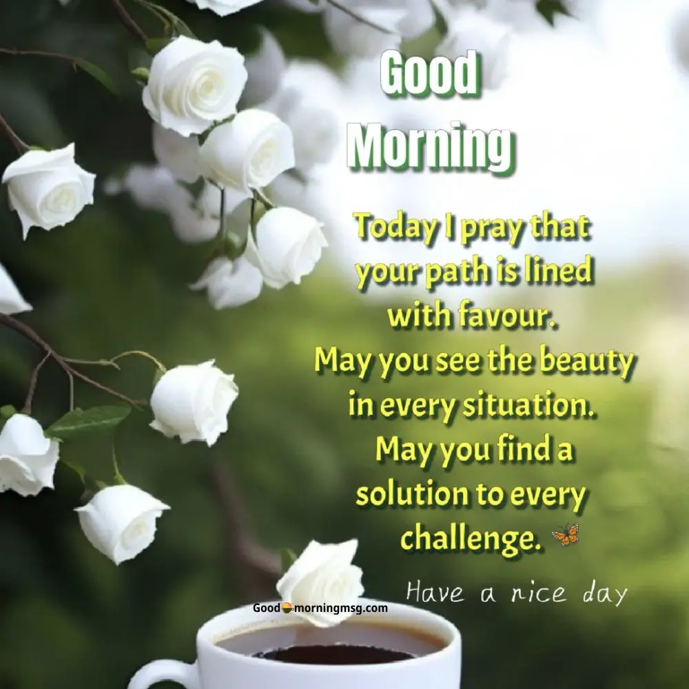 Beautiful Sunrise Good Morning Images With Nature Quotes