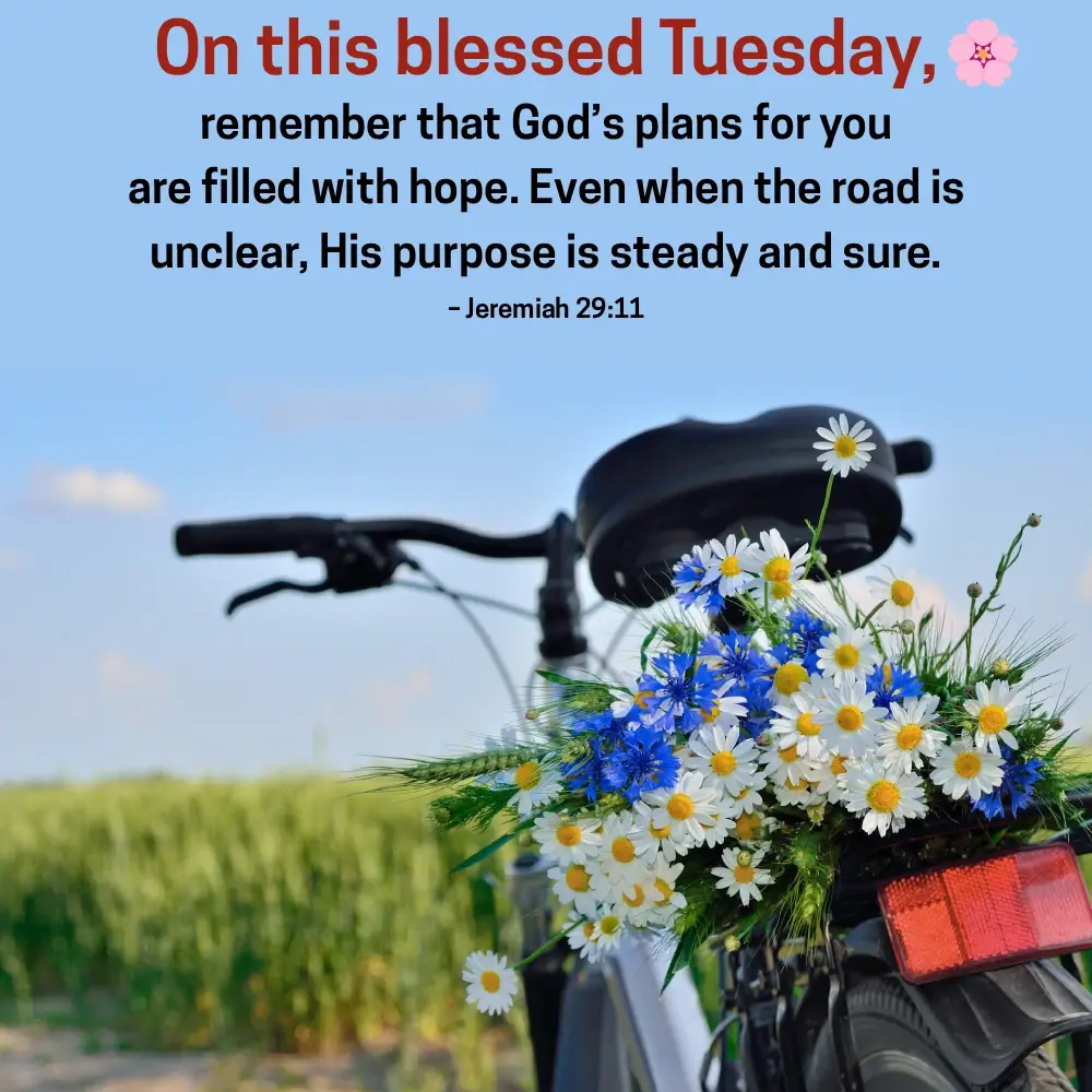 Bible Verses About Money Blessings