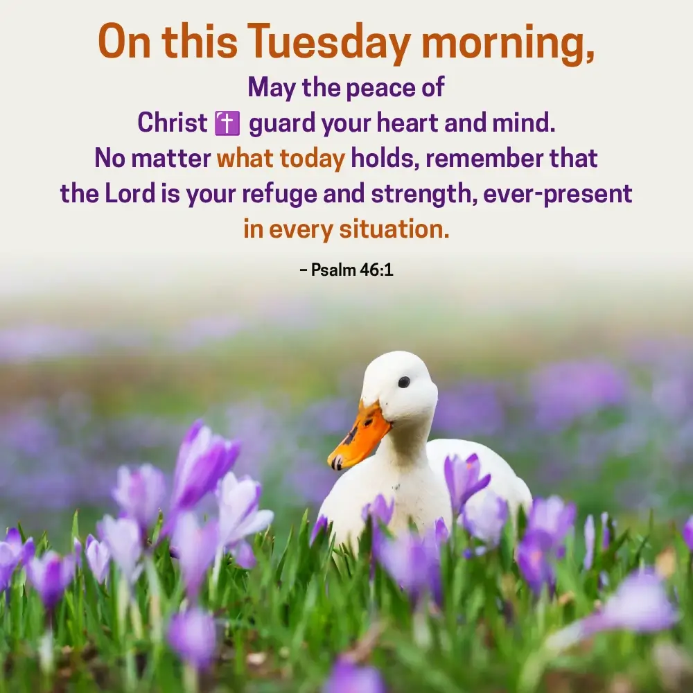 Bible Verses Of The Day