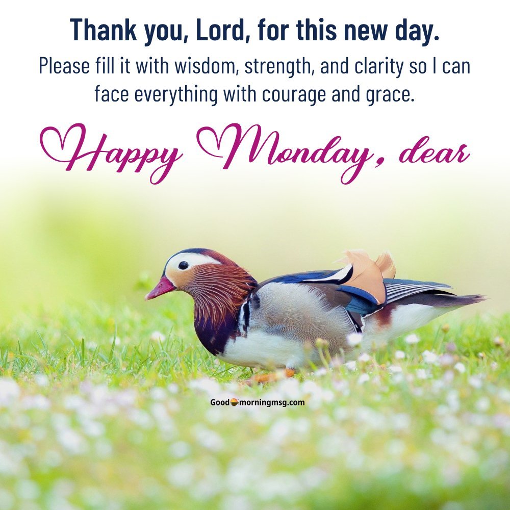 Cute Good Morning Monday I Goodmorningmsg