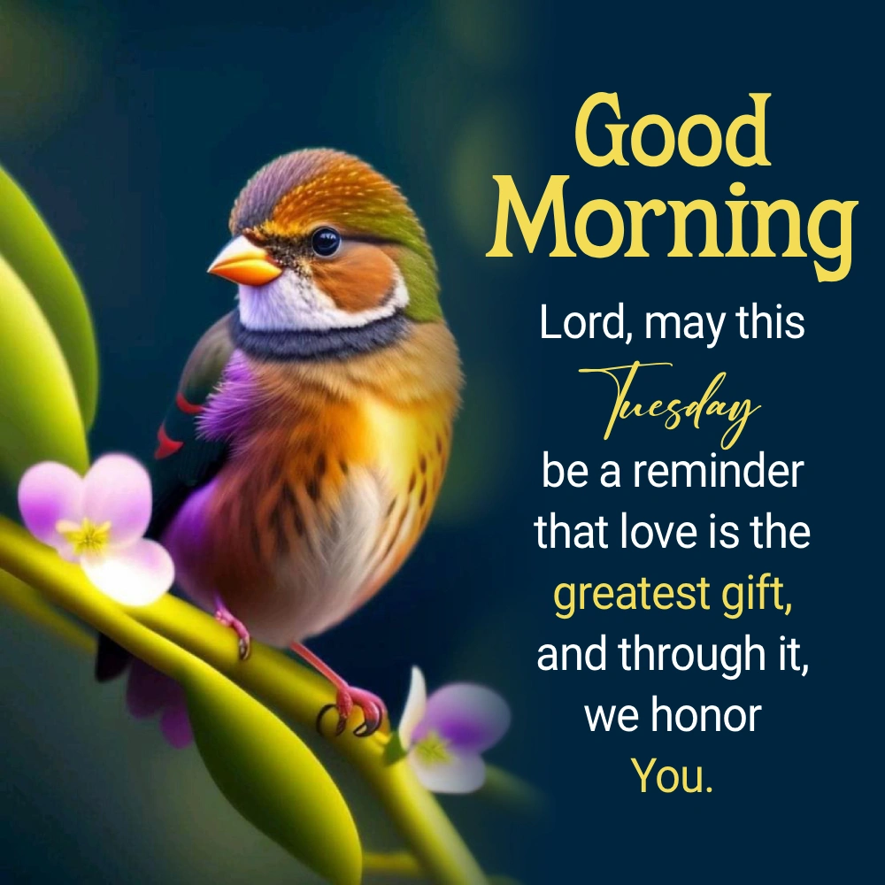 Cute Good Morning Wallpaper