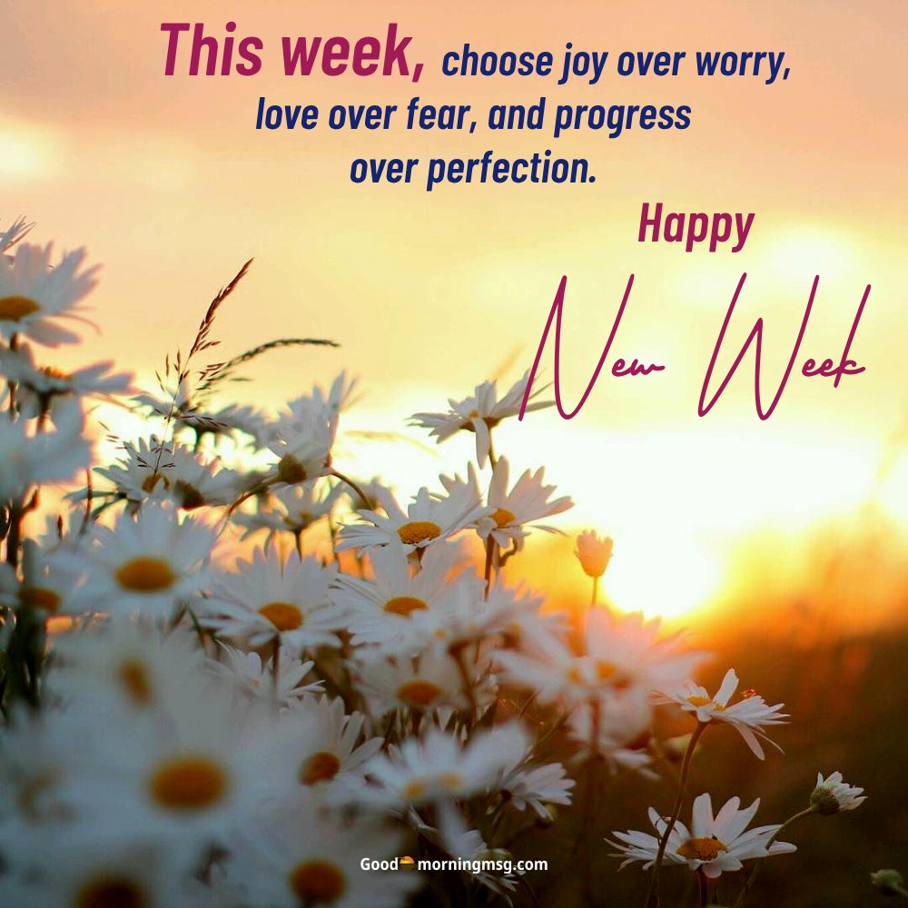 Cute Happy New Week I Goodmorningmsg