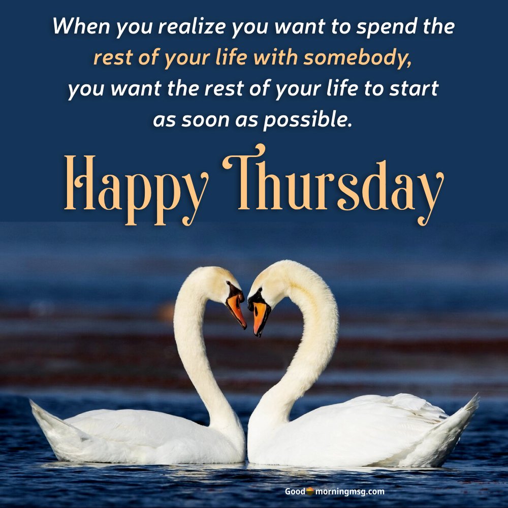 Cute Love Quotes For Couples