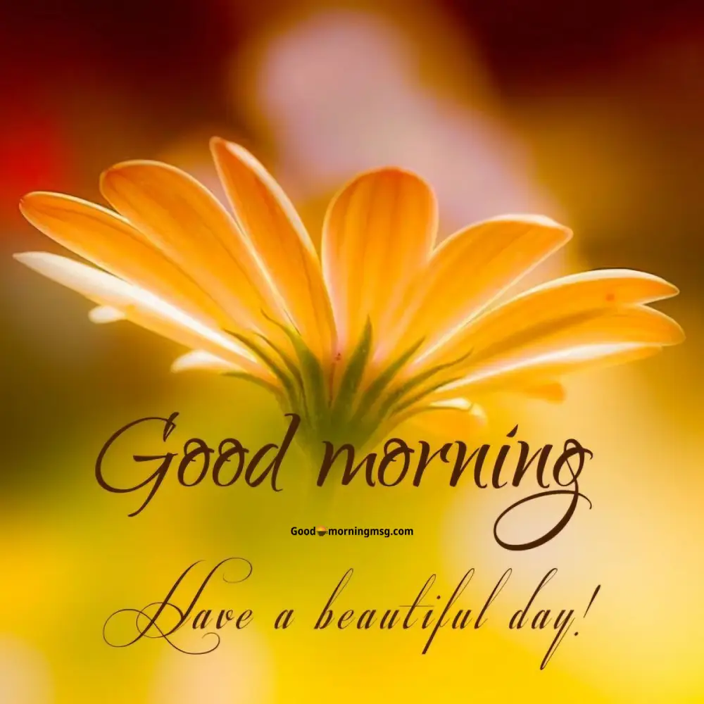 Deep Meaningful Good Morning Life Quotes