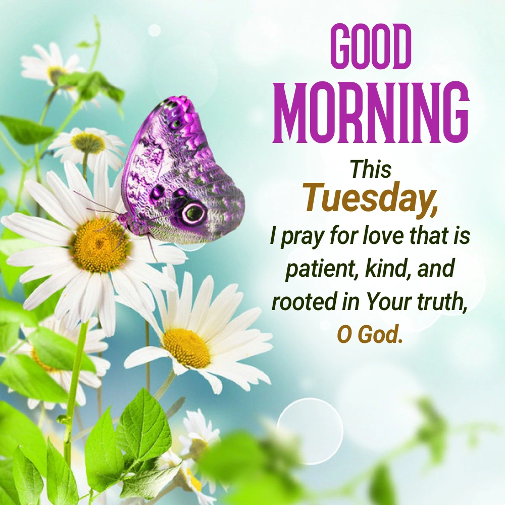 Good Morning Hd Wallpaper 4k