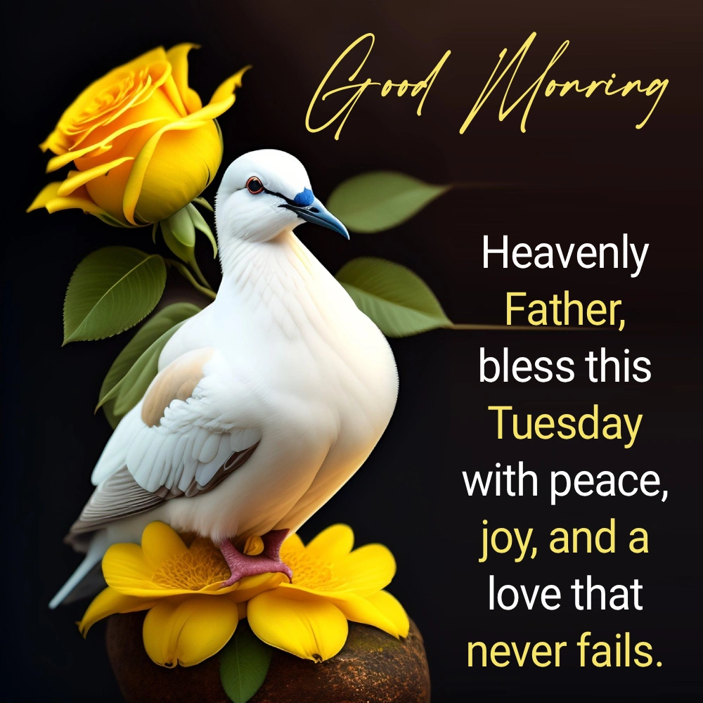 Good Morning Hd Wallpaper Download