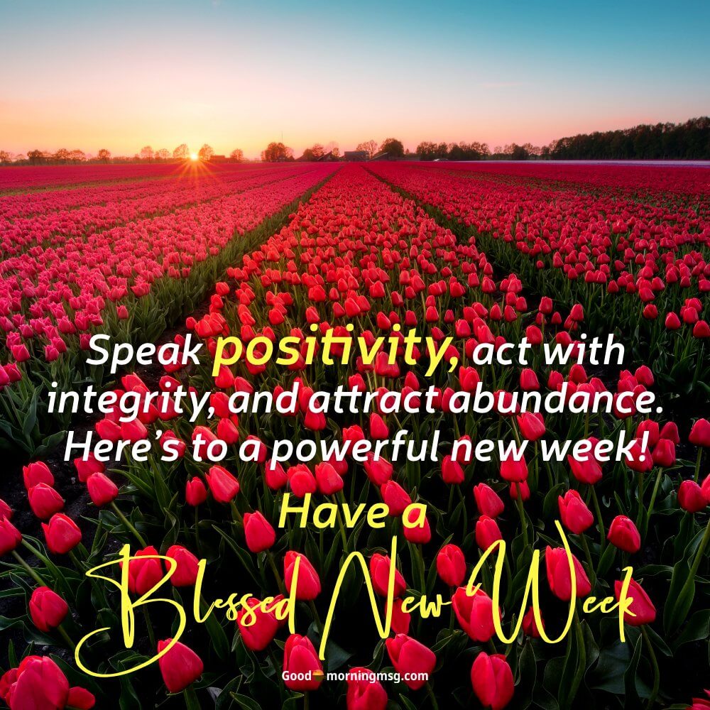 Good Morning Happy New Week I Goodmorningmsg