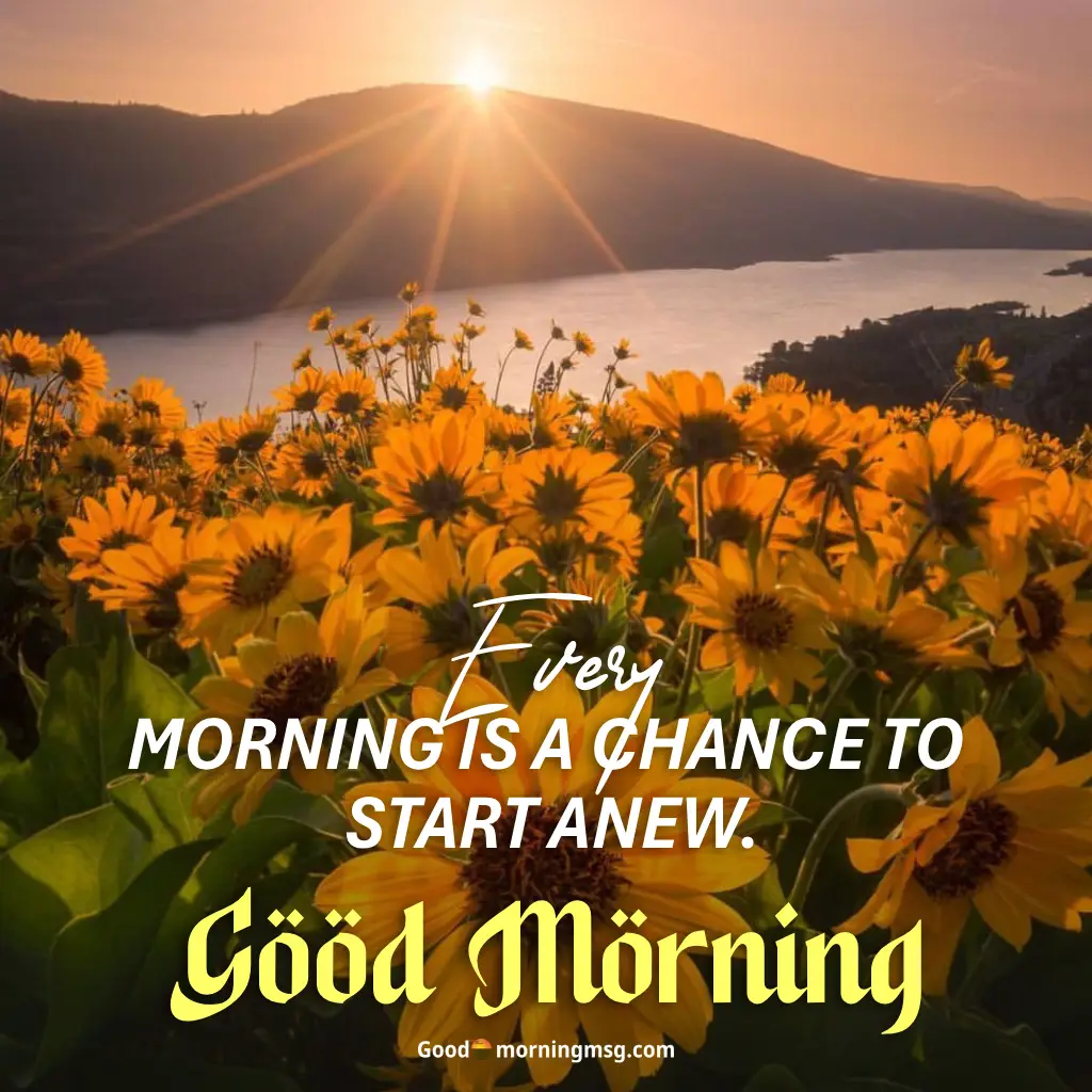 Good Morning Image