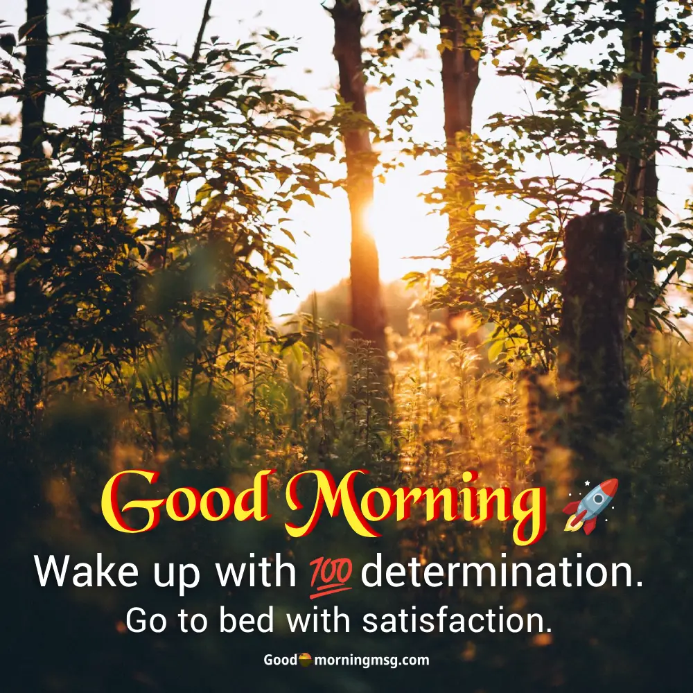 Good Morning Images Today I Goodmorningmsg