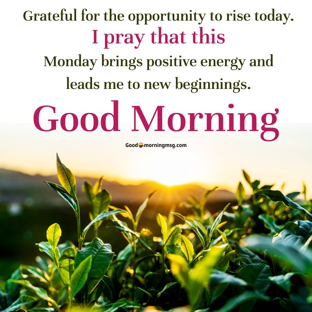 Good Morning Monday Images For Whatsapp Free Download I Goodmorningmsg
