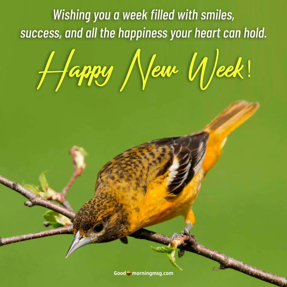 Good Morning Monday New Week Images I Goodmorningmsg