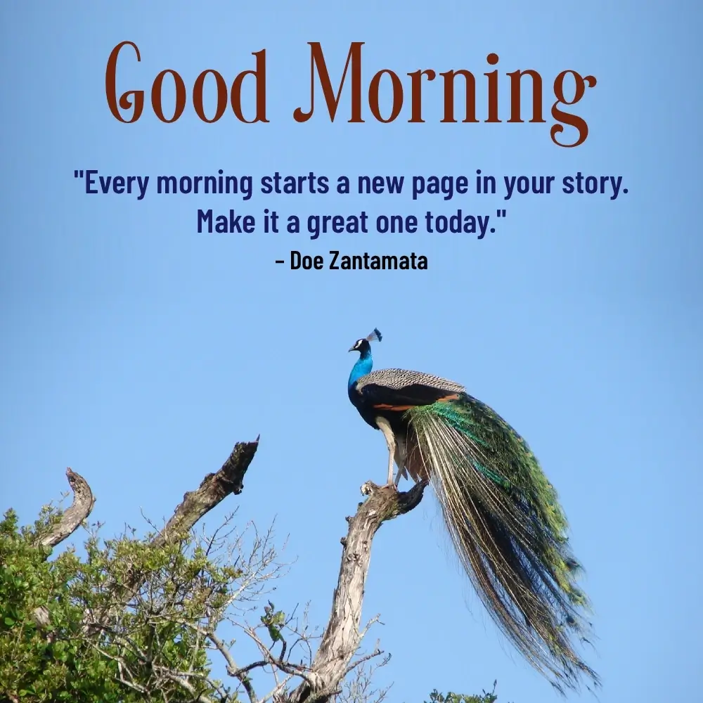 Good Morning Nature Images 1080p Hd Download