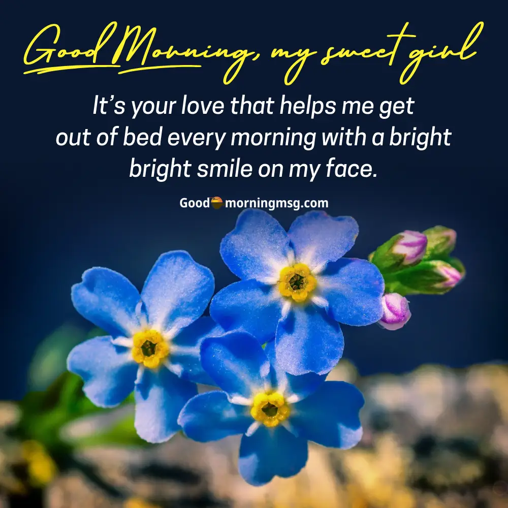 Good Morning Nature Images