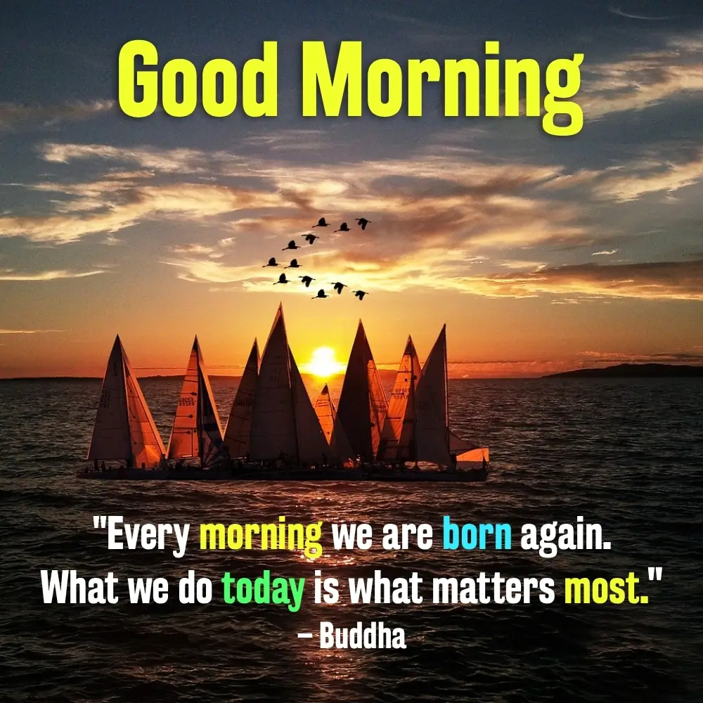 Good Morning Nature Pics
