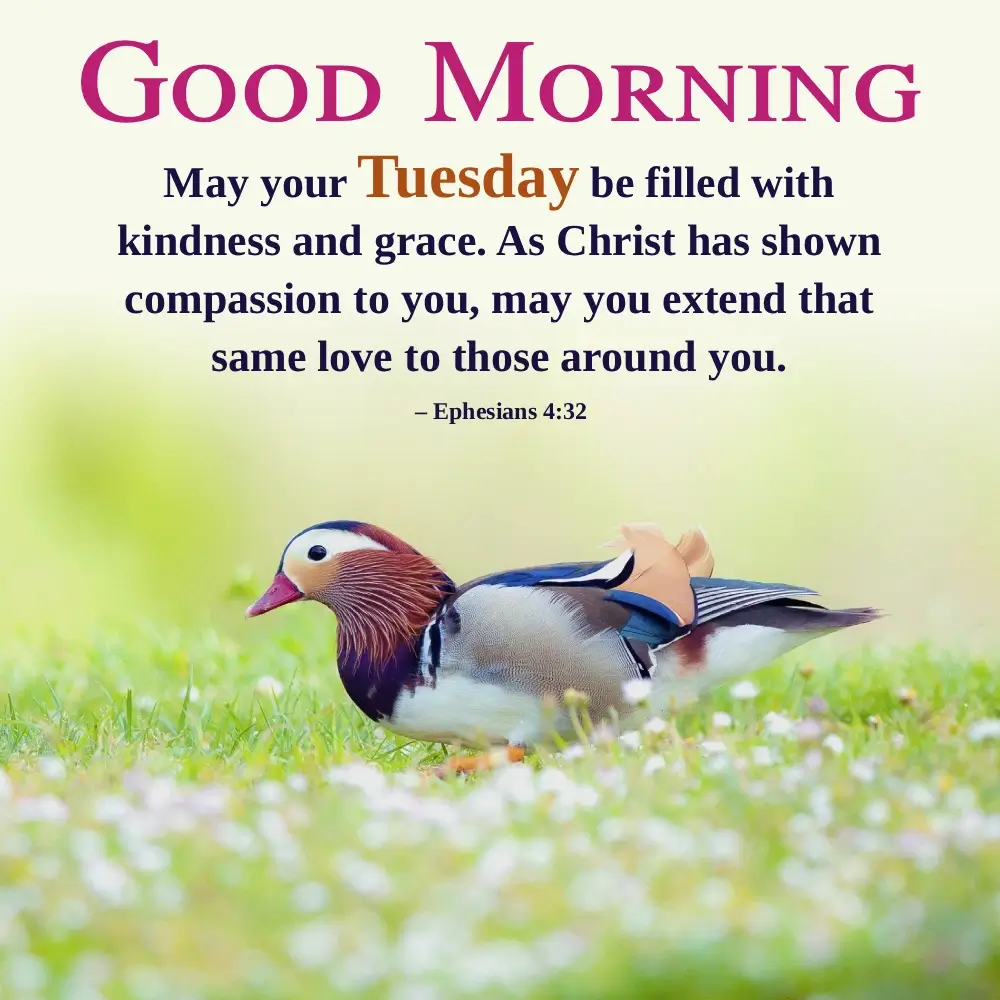 Good Morning New Wallpaper