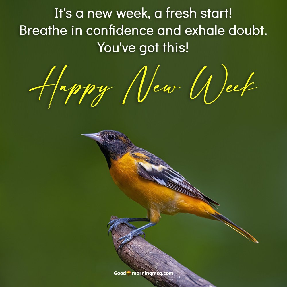 Good Morning New Week Images And Quotes I Goodmorningmsg