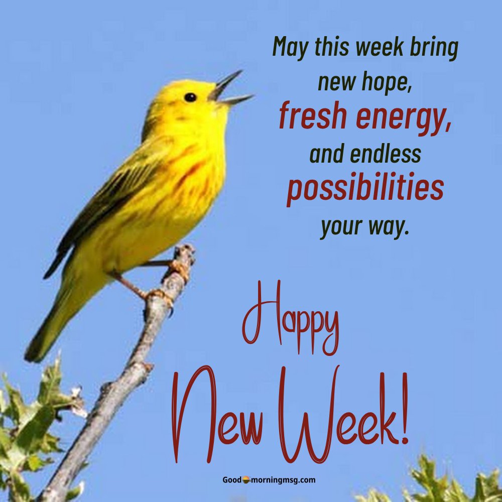 Good Morning New Week Images Free I Goodmorningmsg