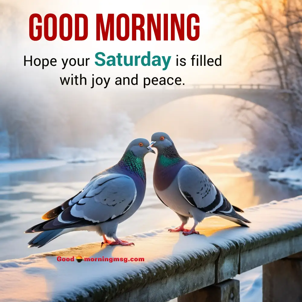 Good Morning Saturday Pictures I Goodmorningmsg
