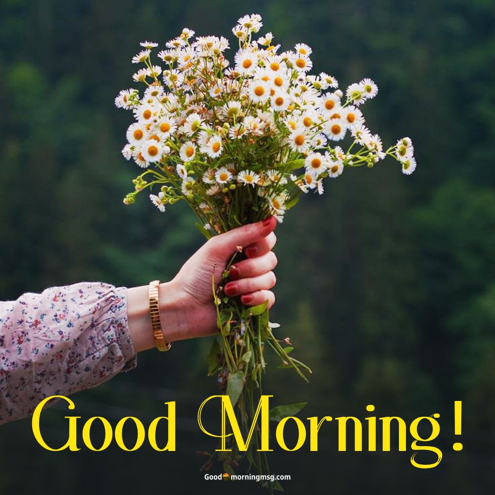 Good Morning Sms For Parents And Siblings In English I Goodmorningmsg