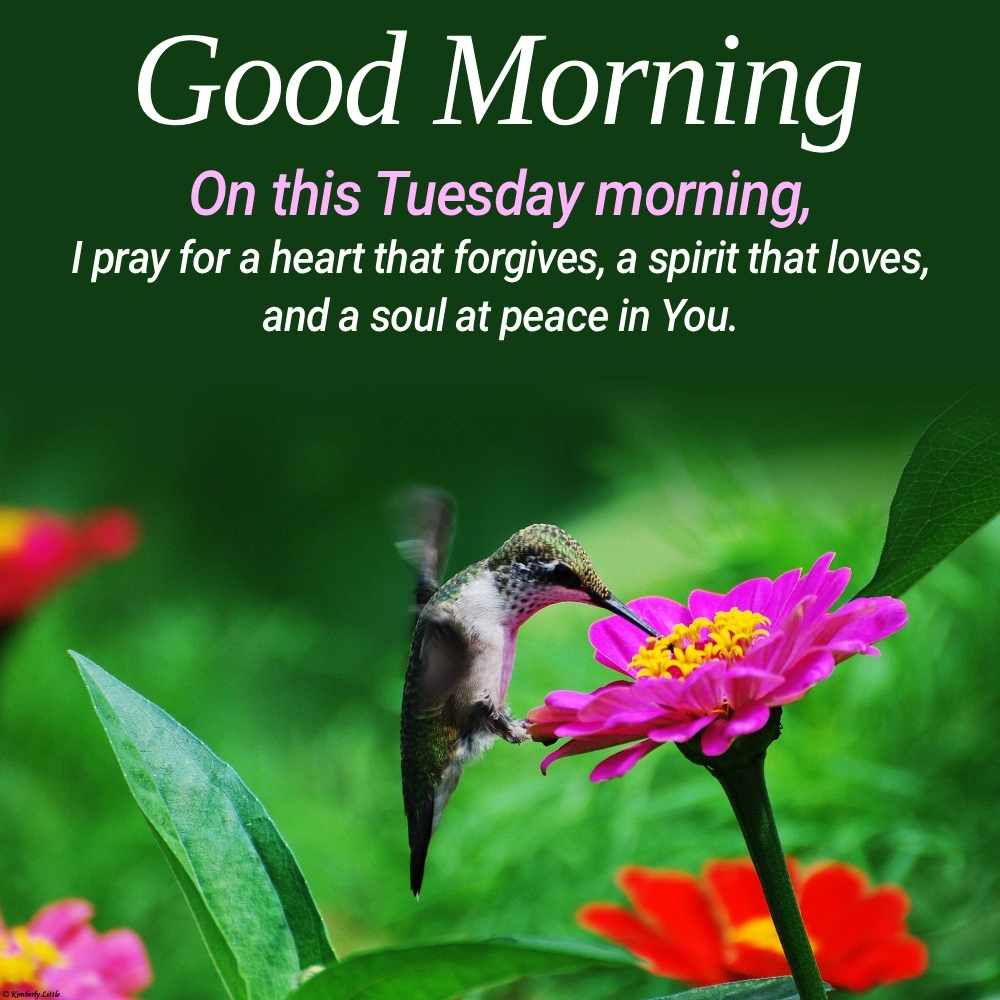 Good Morning Text To A Girl