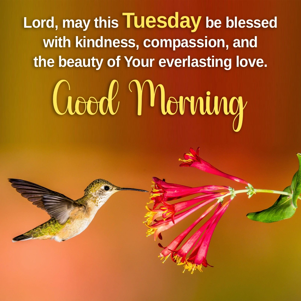 Good Morning Wale Wallpaper