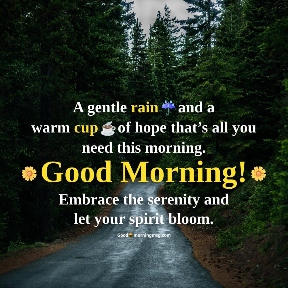 Good Morning Wallpaper Iphone I Goodmorningmsg