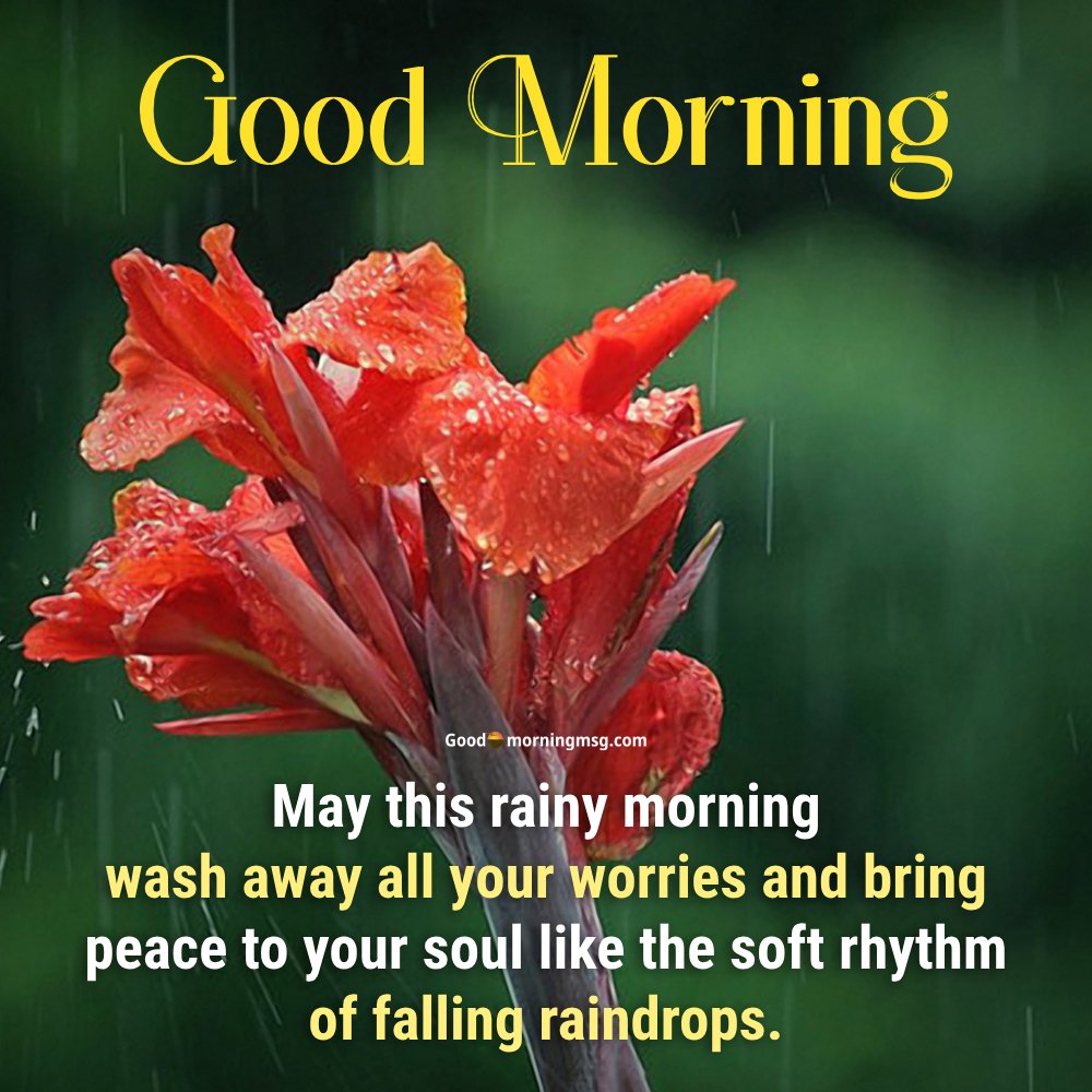 Good Morning Wallpaper Love I Goodmorningmsg