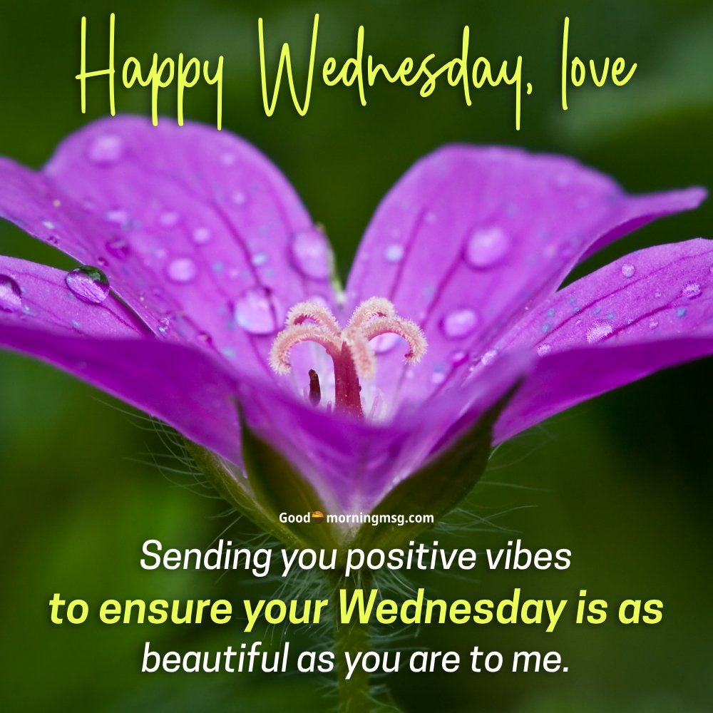 Good Morning Wednesday Flower Positive Prayer Quotes And Images I Goodmorningmsg