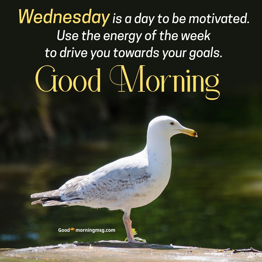 Good Morning Wednesday Positive Prayer For Friends I Goodmorningmsg