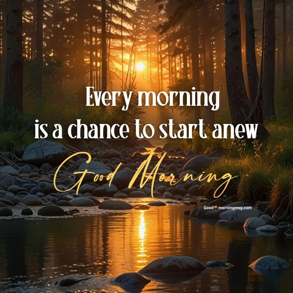 Good Morning Wednesday